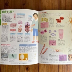 人間　小学館の図鑑　NEOの画像