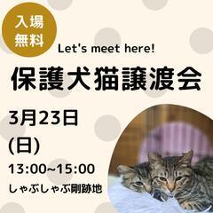 23日(日)脇町　譲渡会開催　13時～15時