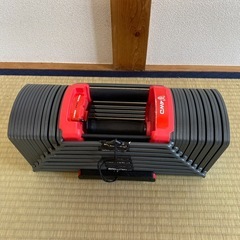 4WD 可変式ダンベル 41kg 2個セット