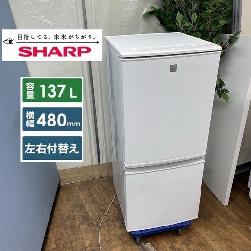 R439 ☀️ SHARP 2ドア冷蔵庫（137L 左右付替え）17年製 SJ-14E5-KW ⭐ 動作確認済 ⭐ クリーニング済