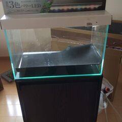 ガラス水槽 アクロ45 45×27×30cm 約32L 45cm...