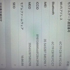 iPad pro9.7セルラー