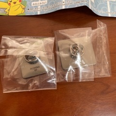 ポケモンピンズ　神奈川限定　2個セットの画像
