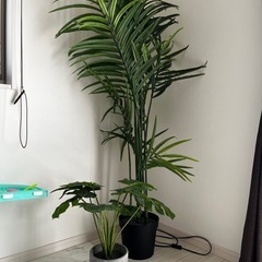 【決まりました】観葉植物　造花　フェイクグリーン
