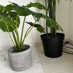 【決まりました】観葉植物　造花　フェイクグリーンの画像