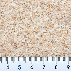 爬虫類用（WPカルシウムサンド）✖️5袋の画像