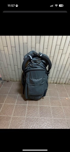 ベビーカー 自転車のカゴに入る 新生児〜22kgまで乗れる