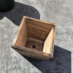 【4個セット】バラエティ鉢の画像