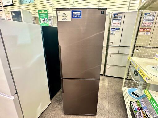 【家電6ヶ月保証付き】SHARP 2ドア冷蔵庫入荷しました！