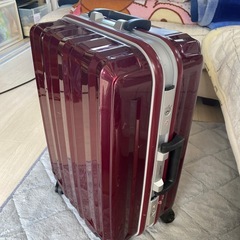 トラベルバッグの画像