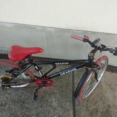 自転車　２０２３年の画像