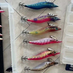 エギセットの画像