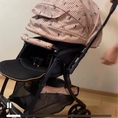 ベビーカーディズニー