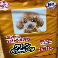 ペットシーツ　犬用　コストコ