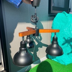 ニトリ　ライト　電球3つ