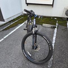 マーリン7の画像