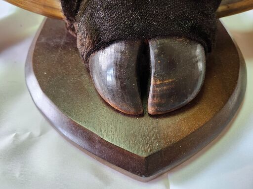 バッファローホーン 壁掛け 角 インテリア 壁飾りメキシコ産ビンテージ