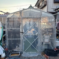 決まりましたの画像