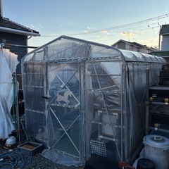 決まりましたの画像