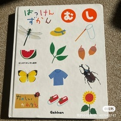 はっけん　むし