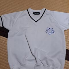 パレルモ体操服120