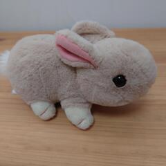 うさぎぬいぐるみの画像