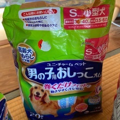 ペット用オムツ　オシッコシートの画像