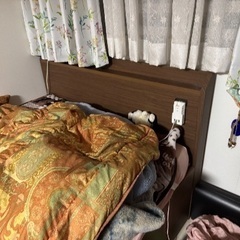 セミダブルベッドの画像