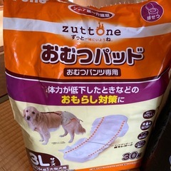 ペット用マナーパンツ　オムツパッド大型犬の画像
