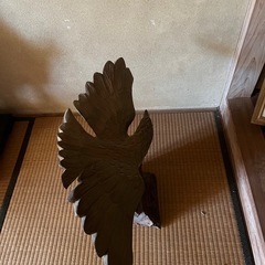 木彫り猛禽類
の画像