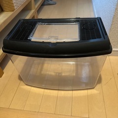 虫かご