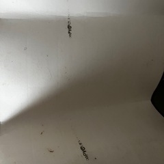 扉付きカラーボックス　フローリングマットの画像