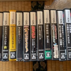 DSソフト13本