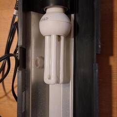 水槽用ライトの画像