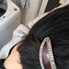 パレッタ
の画像
