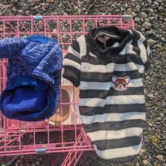 猫用品の画像