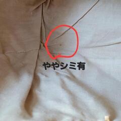 籐製のバッグの画像