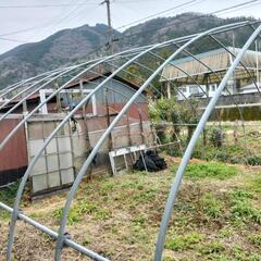 【決まりました】ハウス　鉄骨の画像