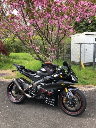 YZF  R-6 2co アクラポビッチチタンフルエキマフラー
