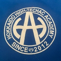 ハイテクACアカデミーTシャツ 140の画像