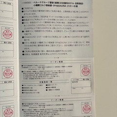 ビューホテル、サンパレス、ニュー阿寒等　割引券　8000円分の画像