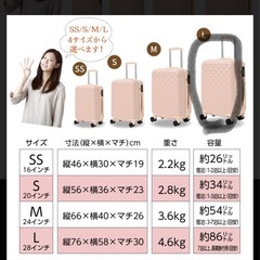 ダンロップ  キャリーケース  Lサイズの画像