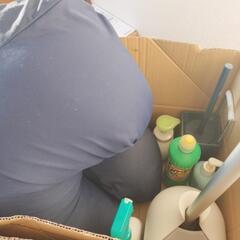 【急募・明日昼まで】クッション、トイレ用品など