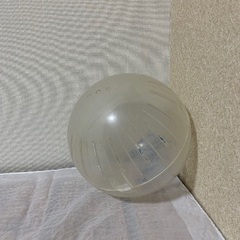 ペットの遊ぶものの画像