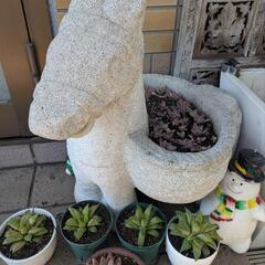 ロバの植木鉢