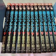 小学館 フラワーコミックス 篠原千絵 闇のパープルアイ 全12巻...