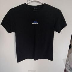 【取引中】STUSSY  Tシャツ