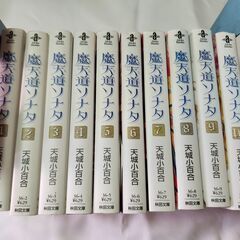 魔天道ソナタ 全10巻　文庫版　／　天城小百合