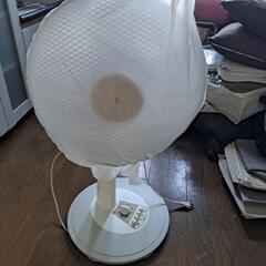 [予約中] 扇風機