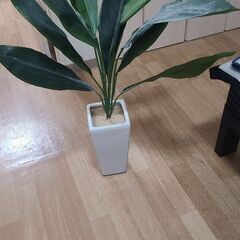 フェイク　観葉植物　高さ1mほど。